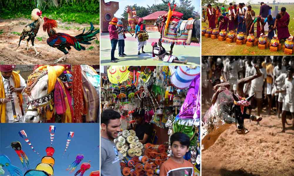 Sankranthi Special: Here is how it is celebrated in Southern states