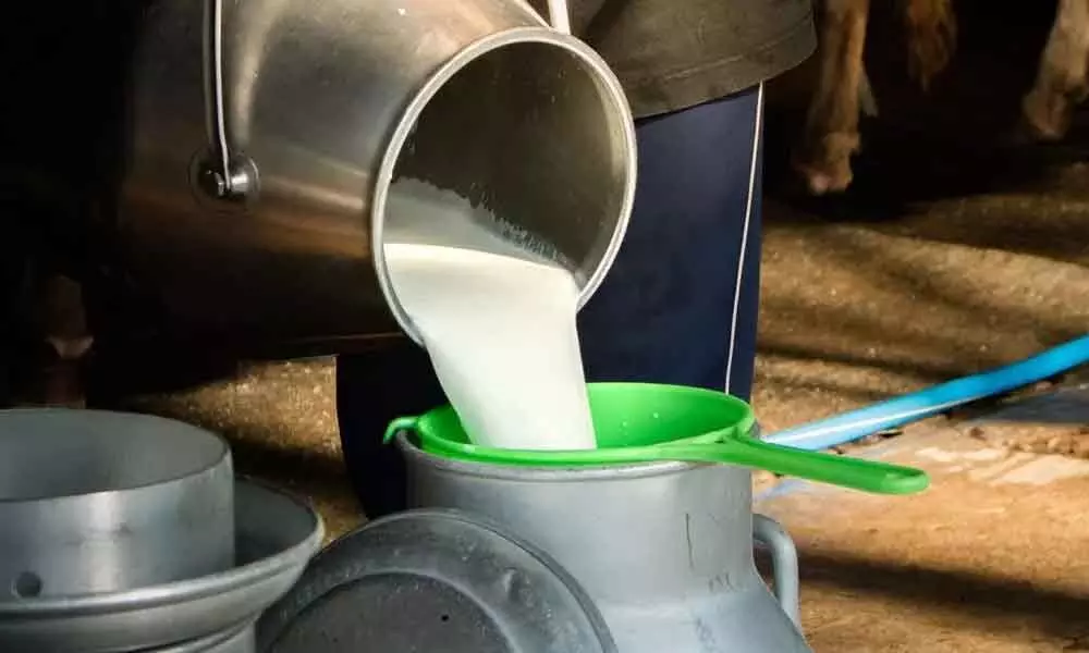FAPCCI to conduct 5-day programme on dairy industry