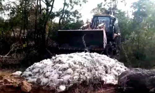 Birds flu: Nearly2000 chickens dead in Telanganas Nizamabad