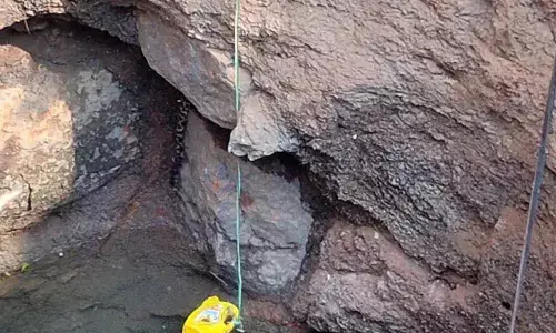 Leopard falls in farm well, rescue operation on