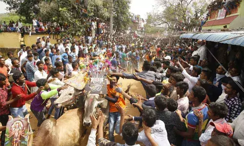 Villagers participating in Jallikattu held at Anupalli in Chittoor on Wednesday