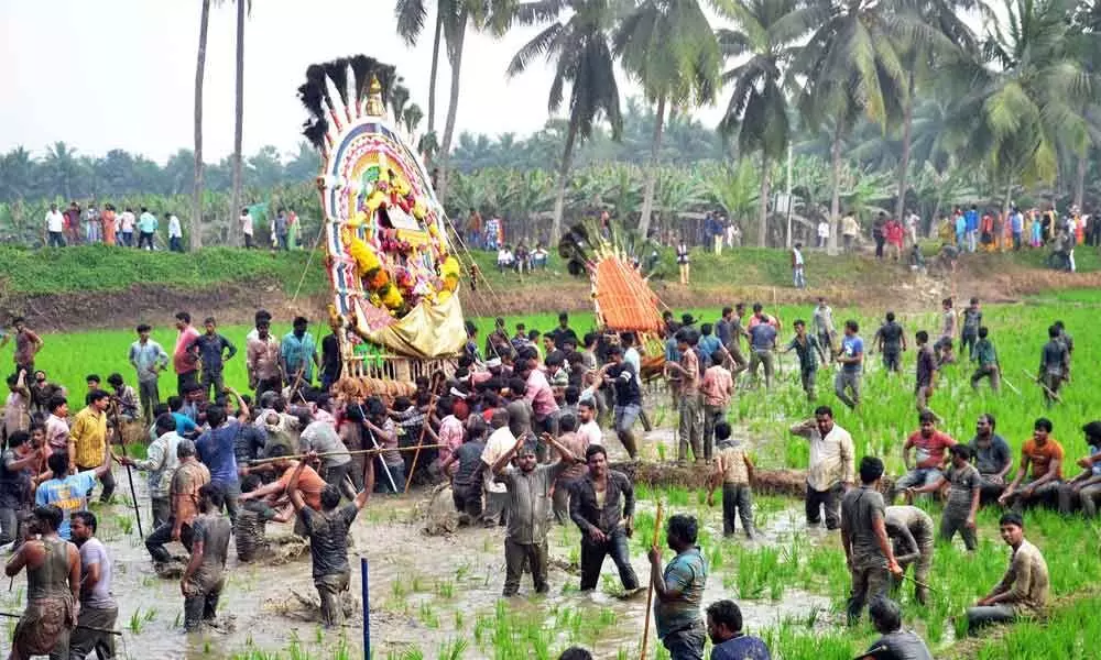 People carrying well decorated Prabhalu through paddy fields to Jaggannathota in East Godavari district on Friday