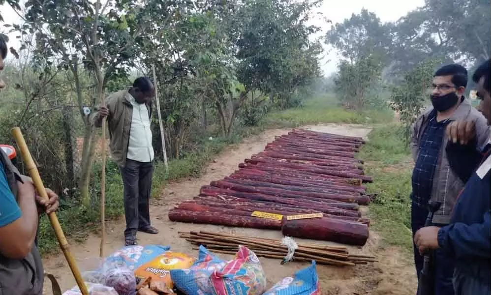 Red sanders worth Rs 1 cr seized near temple city