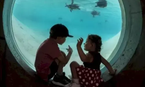 London zookeepers turn to storytelling