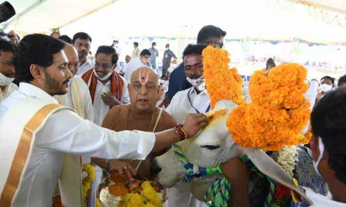 CM YS Jagan participates in Gopuja