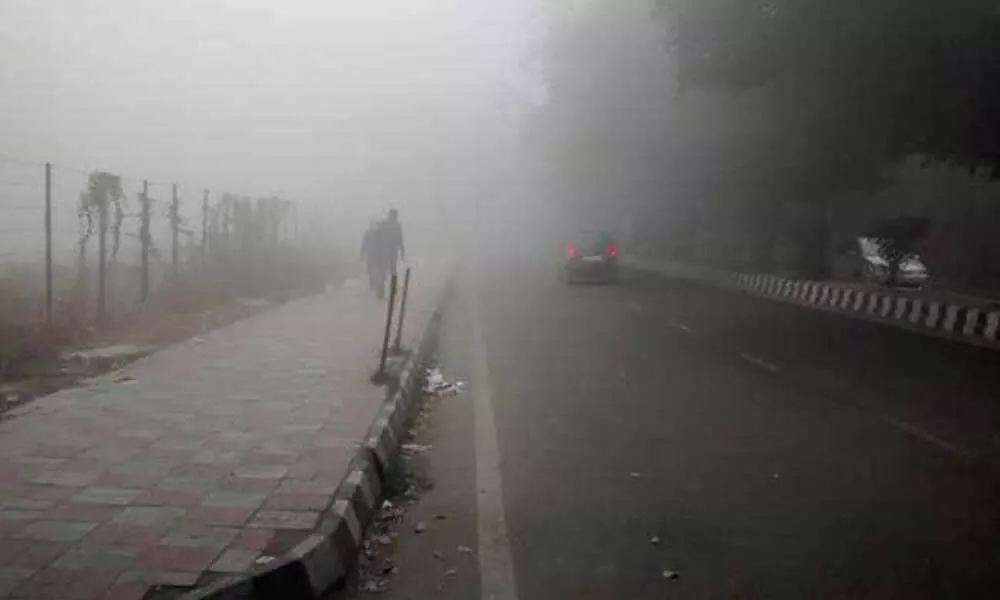 Fog affects life in Jammu and Kashmir amid intense cold wave