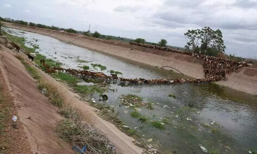 KC canal farmers demand water for rabi