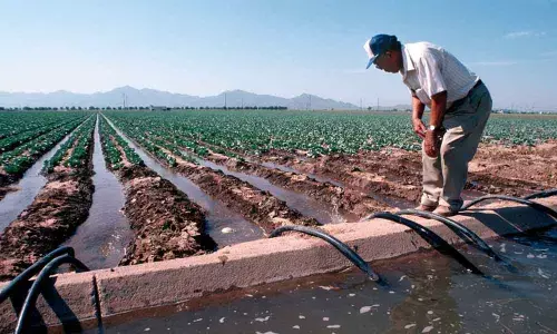 Maintain, raise MSP to protect rivers