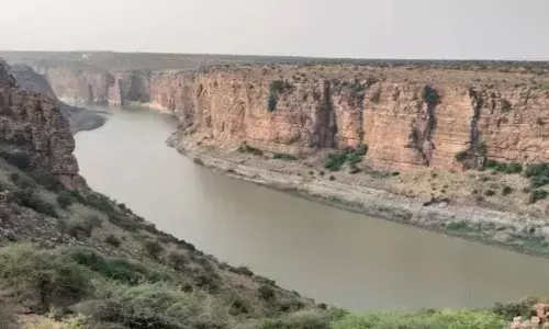 Causeway proposed on Penna to check saline water seepage