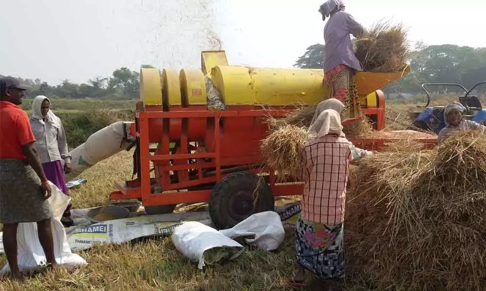 Paddy farmers adopt mechanisation