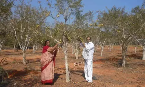 Model farmer Anantha Ramudu at his farm