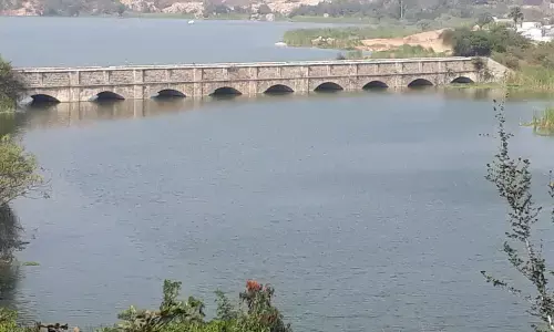 Land sharks descend on Jalpally Lake FTL area
