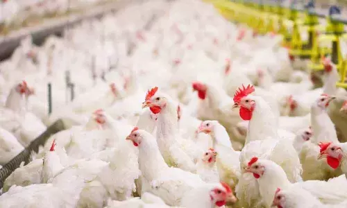 Hub of agri, aqua-based industries