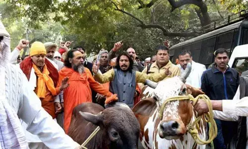 Plan afoot to withdraw cases against gau rakshaks