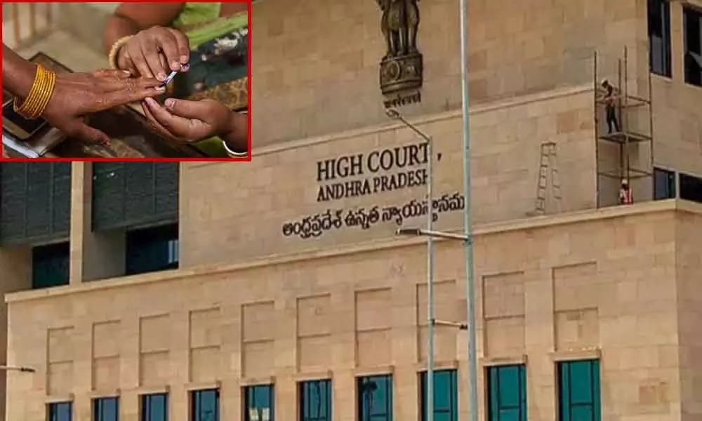 AP High Court gives green signal for Panchayat elections, cancels single judge verdict