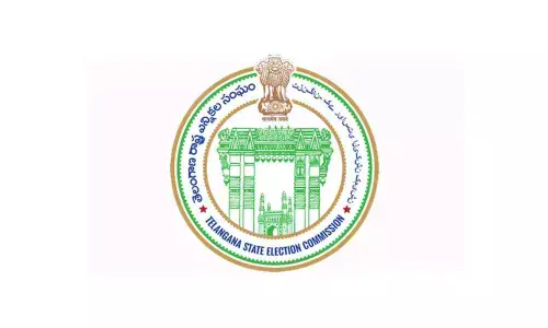 SEC releases model code of conduct for indirect election