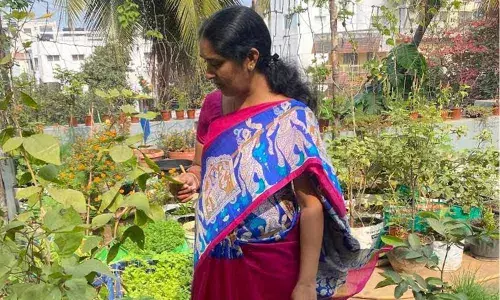 Sridevi’s terrace houses a range of veggies, fruits and herbs