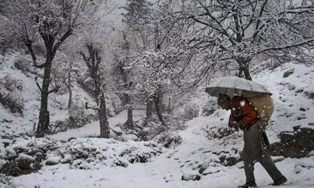 Intense cold wave in Kashmir