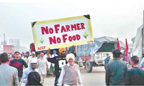 Whose farms? whose laws? whose solution?