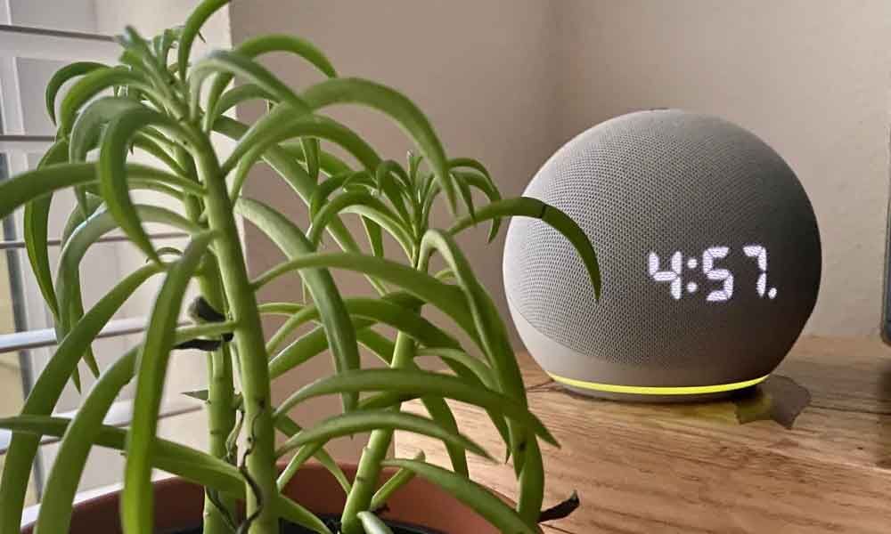 alexa turn off the lights