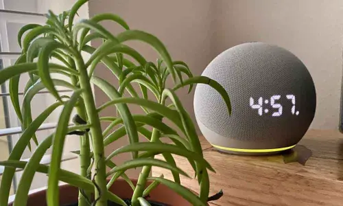 Alexa can now act on hunches to turn off lights, more