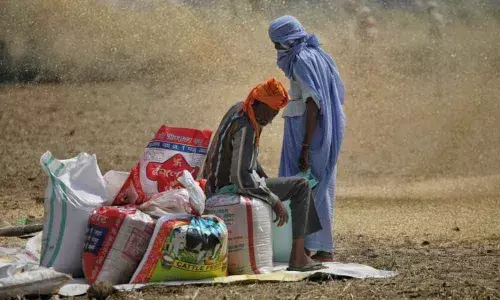 The MSP conundrum and Indian farming