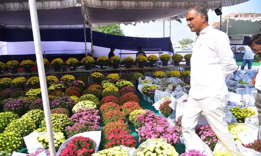 Inculcate love for plants in children, says Finance Minister T Harish  Rao
