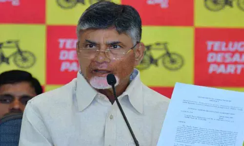 TDP Panchayat Elections Manifesto