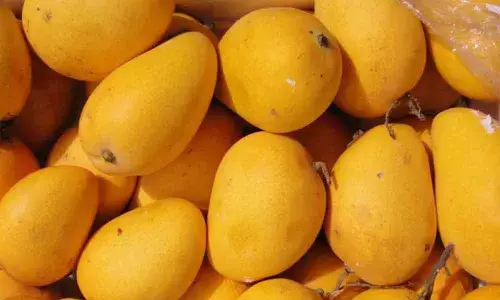 Mangoes