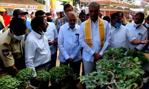 Forest area in Telangana increased by 3.67 per cent in 5 years: Harish Rao