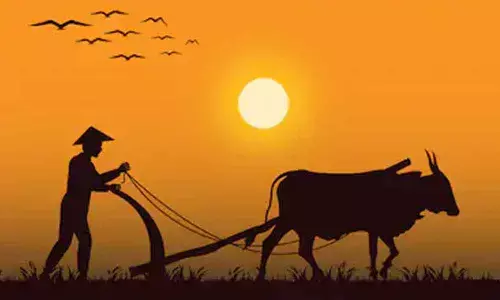 Being an Indian farmer…