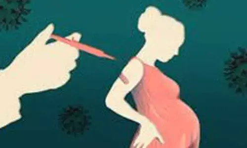 For jab, delay pregnancy by 2 months, say experts