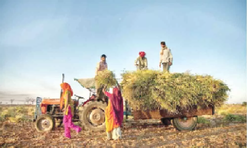 Survey sees agri as modern business