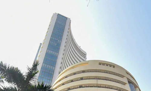 Equity market sheds gains ahead of Economic Survey