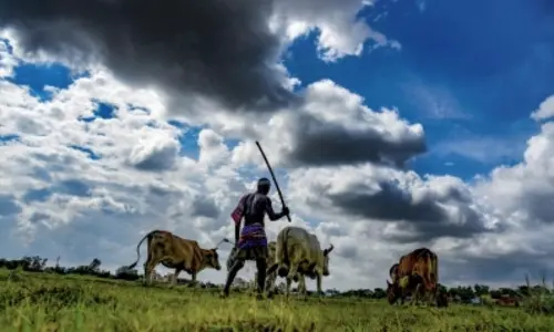 Can one nation, one MSP improve economic condition of farmers?