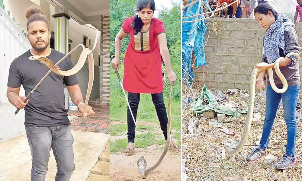 Snakes not sinister, help save them says Snake Society