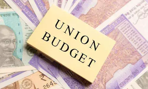 Budget looks bright, nevertheless sounds dubious