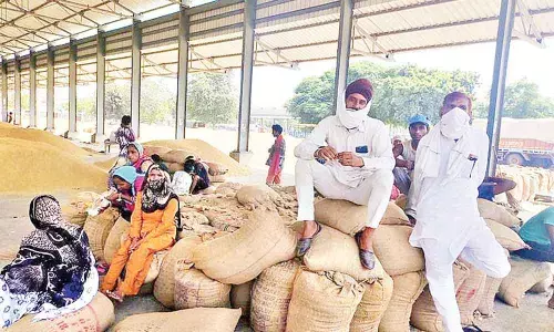 Contentious farm laws: Beyond the obvious