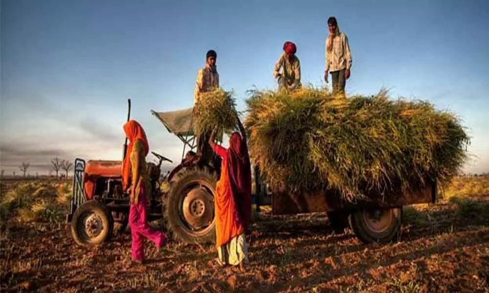 BJP hopes for Budget relief to rural poor, farmers, middle class