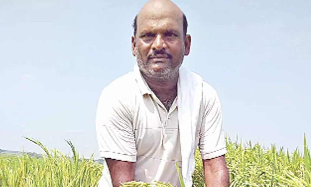 G Sammi Reddy, farmer from Kishtampet village of Peddapally district