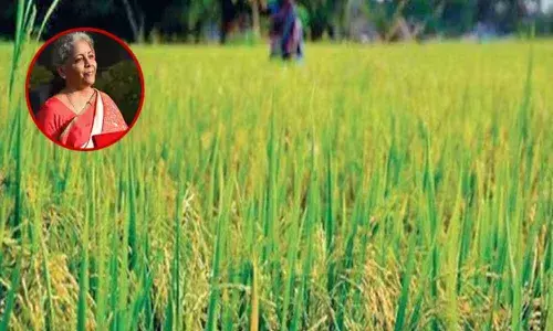 To provide adequate credit to farmers, the government has enhanced the agricultural credit target to Rs 16.5 lakh crore in next fiscal, i.e. FY22, with focus on ensuring increased credit flows to animal husbandry, dairy, and fisheries.