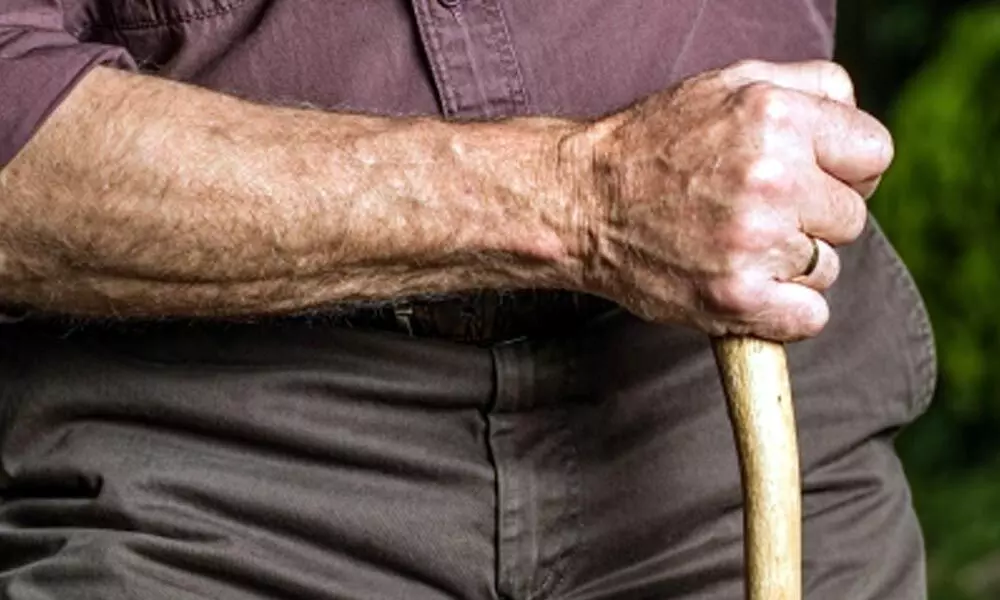 Prostate drug may lower Parkinsons disease risk in men