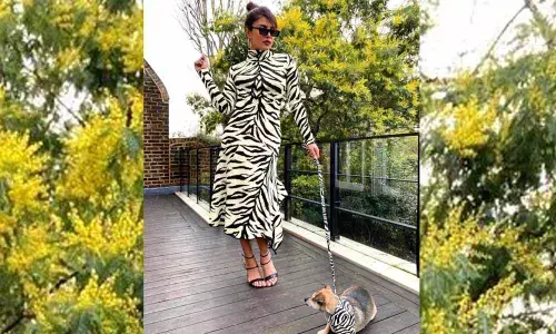 White Tiger Priyanka Chopra Jonas poses with cub Diana