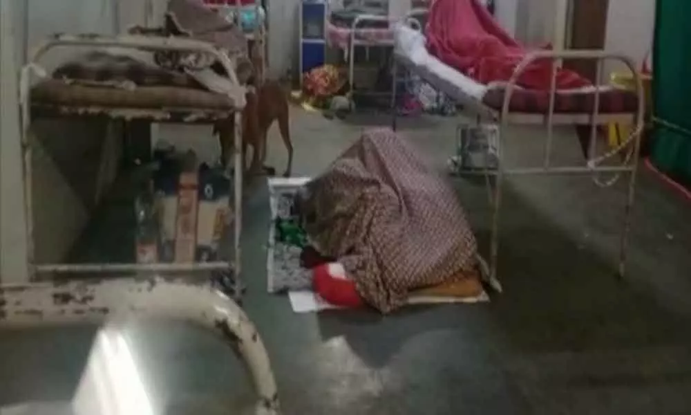 Video Of Stray Dogs Inside Patient Ward At Nagpur Hospital Goes Viral, Investigation Ordered