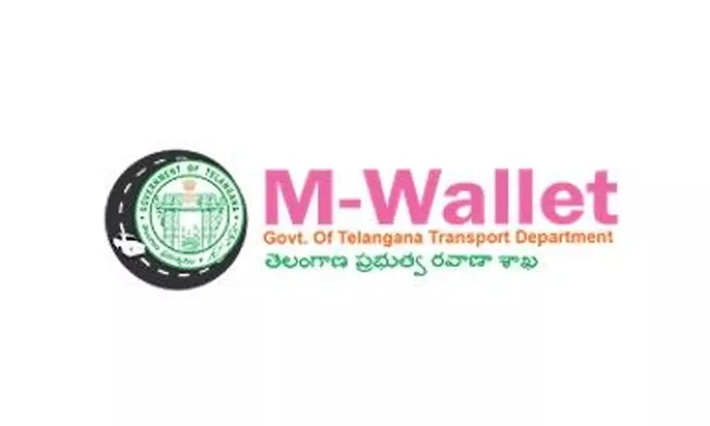 M-wallet glitches leave motorists red-faced