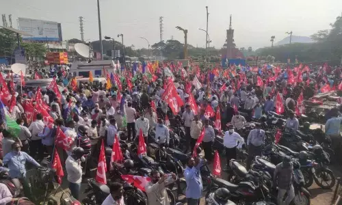 AP has itself to blame for VSP privatisation move