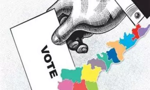 Video of ward volunteers campaigning for polls leaked