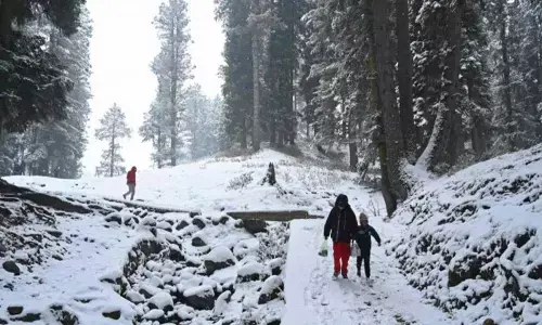 Mercury again dips below freezing point in Srinagar