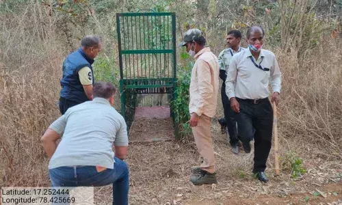 After airport authorities informed them of carcasses of wild boars, the forest officials found that they were killed  by the dogs