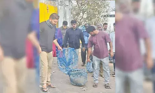 Public still dogged by irksome issue